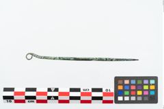 Foto von Bronzerollenkopfnadel (NHMW-PRAE-025988)
